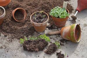 Gartenarbeit